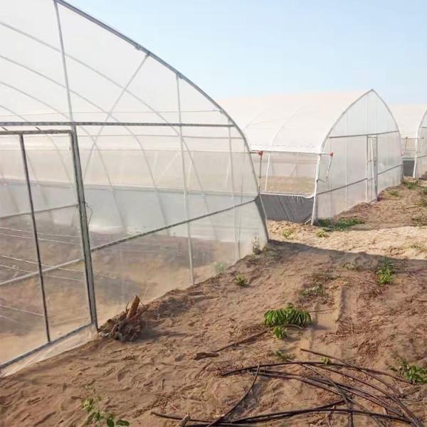 Agricultural Plastic Film Greenhouse Large Size High Latitude Area Ecological