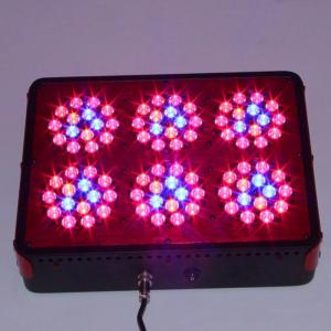 Cheap Apollo led Grow Lights or Agriculture Greenhouse wholesale