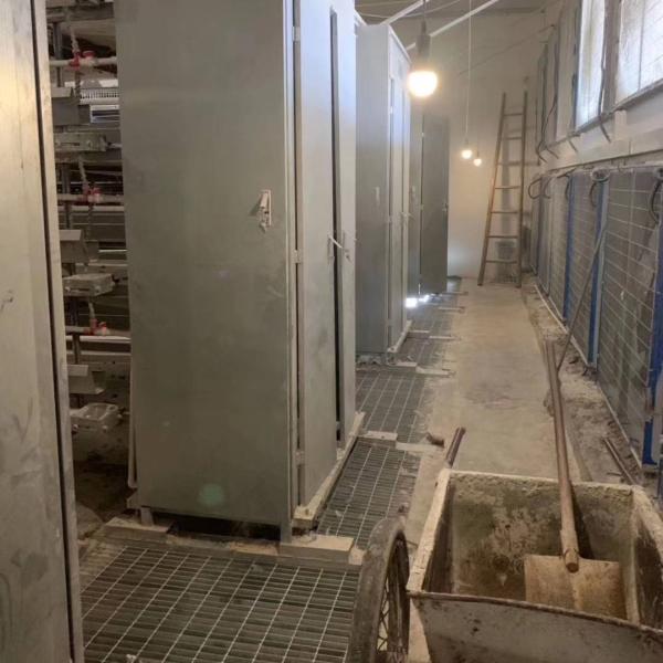 128 Birds Poultry Battery Cage With Auto Egg Collector