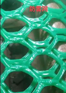 Cheap Green Plastic Mesh Netting 200-400gsm Anti Hail Anti Mole Net wholesale