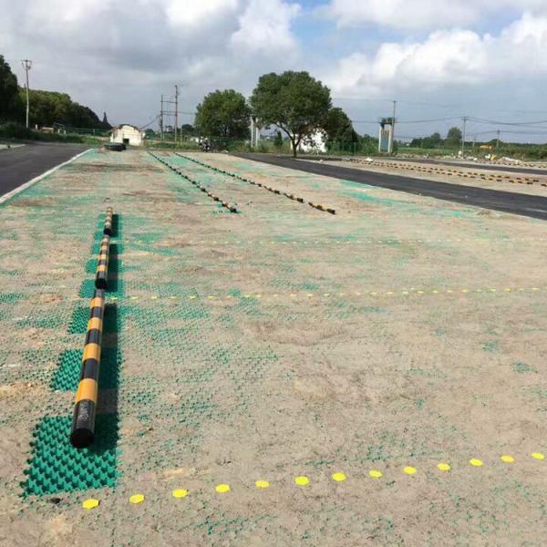 HDPE Plastic Planting Grass Paver Grid for Parking Lot and Driveway at 500mm Length