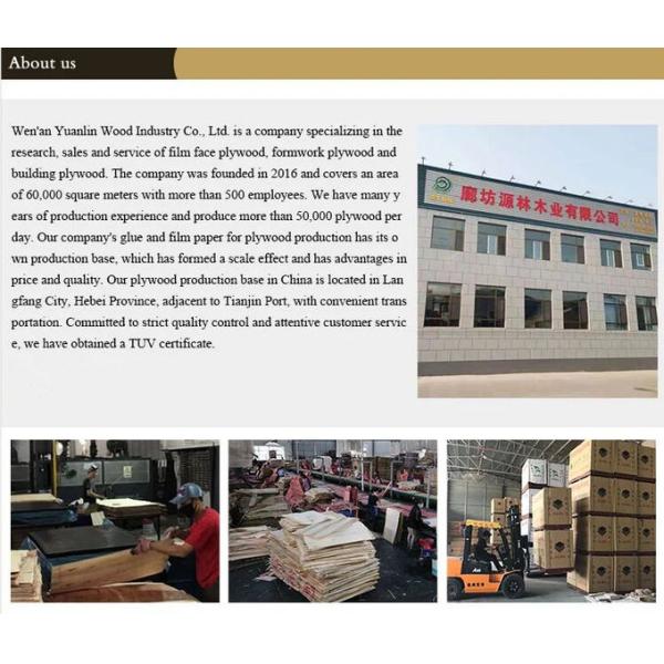 Poplar Core Red Film Faced Plywood Used For Formwork Panels High Bending Strength