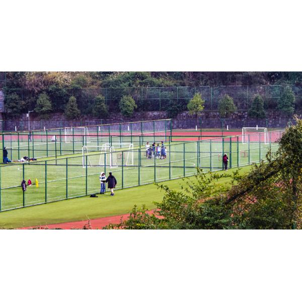 10mm Height Plastic Synthetic Turf Carpet Lawn Artificial Grass Landscape