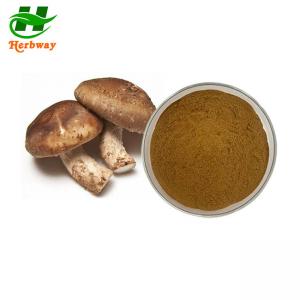 Cheap Shiitake Mushroom Extract Lentinus Edodes Extract 10%-50% Polysaccharide Lentinan wholesale