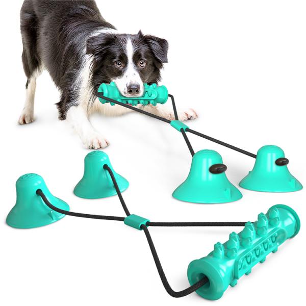 High Quality New Single Suction Cup Molar Ball Dog Toothbrush Teeth Cleaning Chew Toys For Pet