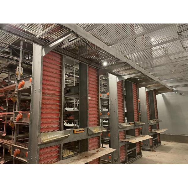Poultry Farm Layer Chicken Cage / Full Automatic Chicken Raising Equipment