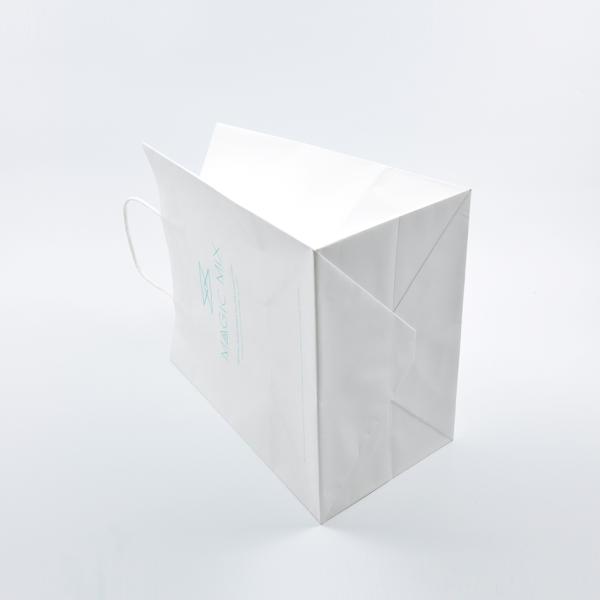 Eco Friendly Printed Paper Bags Portable With Handle Oem Odm Available