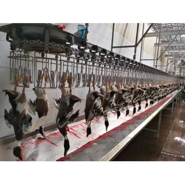 Chicken Duck Goose Poultry Slaughtering Line High Efficiency Stainless Steel 304