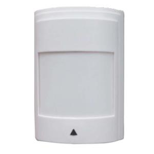 Dual infrared detector