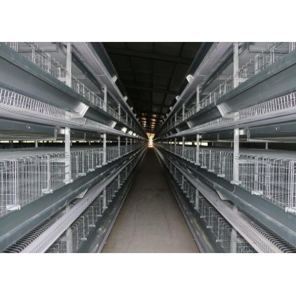 Indoor Battery Cage Poultry Farming Saving Feed Unique Cross - Opening Door Design