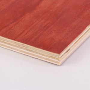 Cheap Commercial 18mm Structural Plywood Sheets Eucalyptus Pine Plywood Sheets wholesale
