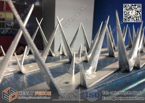 China 1.2m galvanised Wall Razor Spikes made in China | ISO9001 certificated on sale