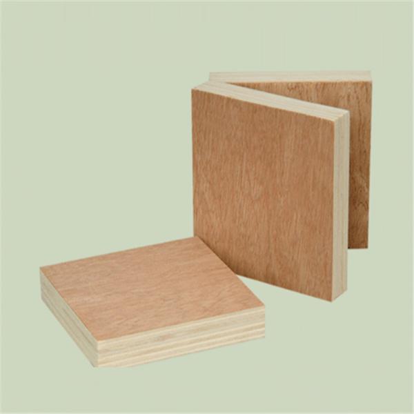 Bintangor Face Back Eucalyptus Core 5 ply Bintangor Plywood