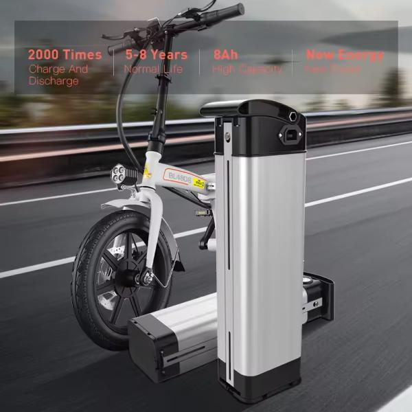 Long Life 48V 8Ah Electric Scooter Lithium Battery LiFePO4 Silverfish Ebike Battery