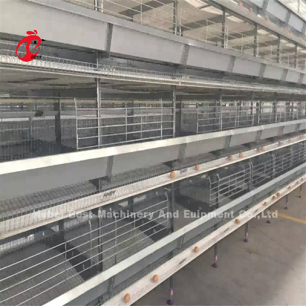 Poultry Farm Equipment H-Type Battery Chicken Cage System For Broiler Mia