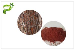 China Anti Oxidation Natural Dietary Supplements Proanthocyanidins PACs Pine Bark Extract on sale