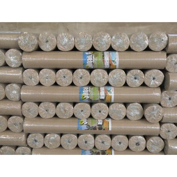 1 2 Inch Welded Wire Mesh Fence / Galvanised Welded Mesh Rolls For Farm