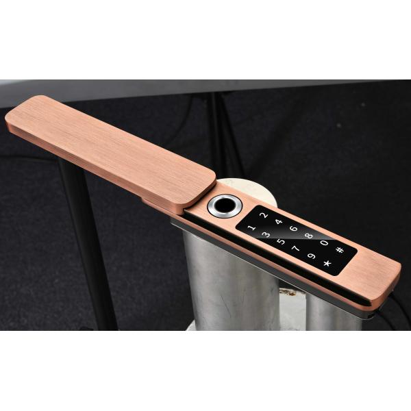 Keyless Waterproof Outdoor Vila Gates Fingerprint Door Locks