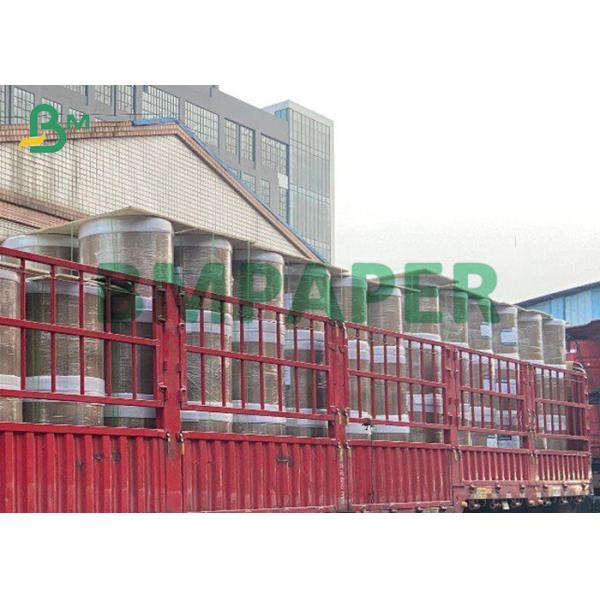 Food Grade Single-side 230g + 15g PE Coated Cup Paper In Roll Food Grade Single-side 230g + 15g PE Coated Cup Paper In Roll