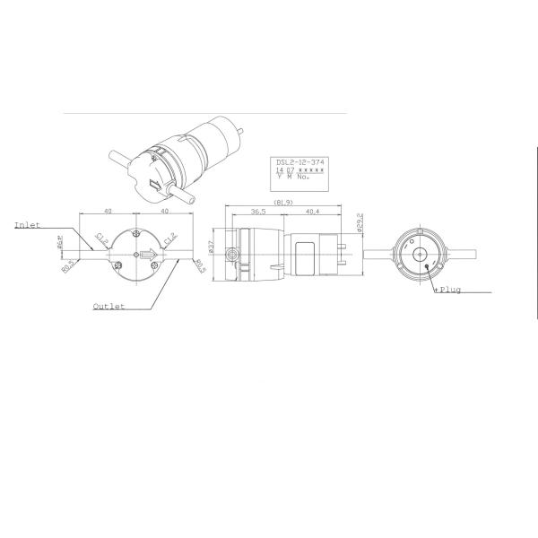 FLOWMATE DC Brush Diaphragm Pump for Water DSL2-12-374