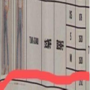 Flowered Casual Summer Trousers 100% Rayon Womens Printed Trousers