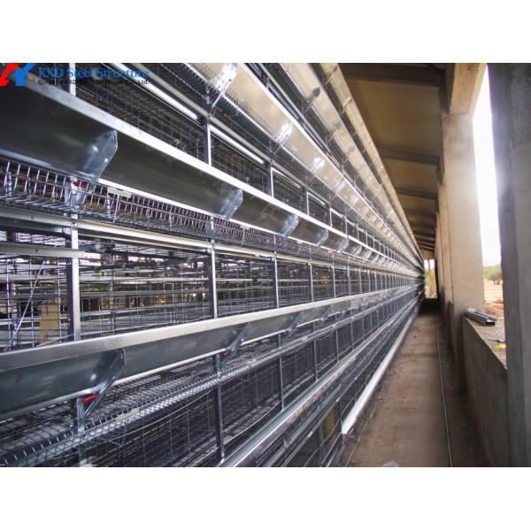 Automatic Battery Egg Layer Cages , Chicken Laying Hens Cage Poultry Farming Equipment