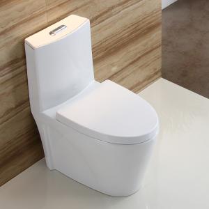Dual-Flush One Piece Toilet with Ceramic Water Tank