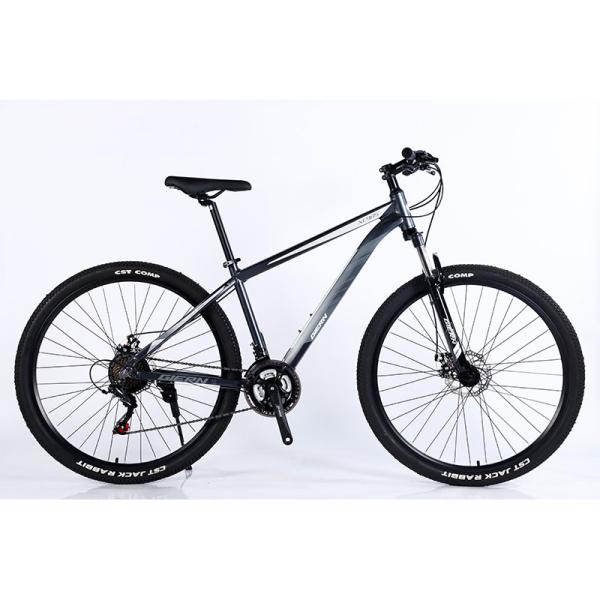 Mountain Bike Mtb Bike Steel Frame and Sus Fokr Al Crown Lockable Fork for Adults