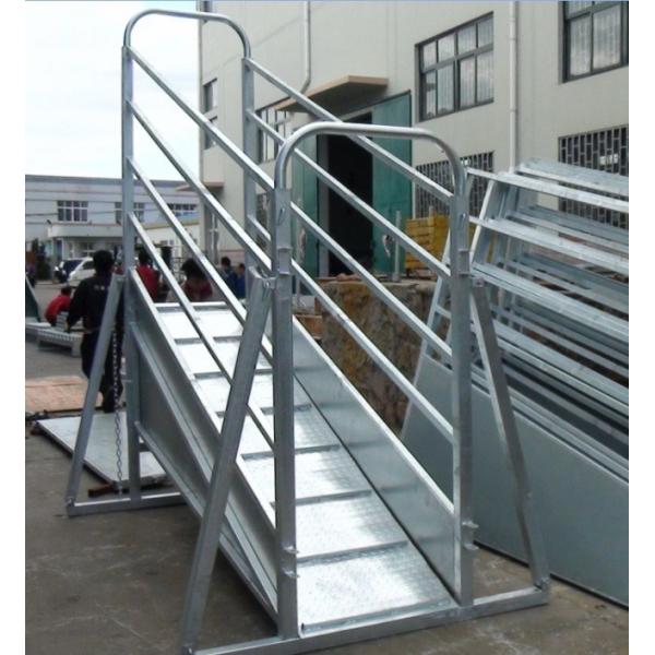 Closed Base Portable Cattle Handling System Premade / Customized Design