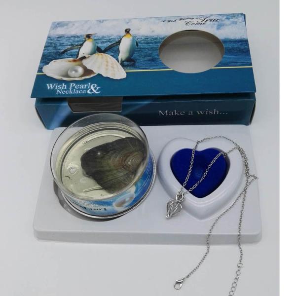 Perfect Freshwater Pearl Jewelry Gift-Wish Pearl Gift Necklace Set with Color Box Packing