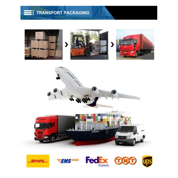 TGFQ Crawler Excavator Spare Parts EC80D Travel Big Bearing 190BA2036 Parts For VOE14516542