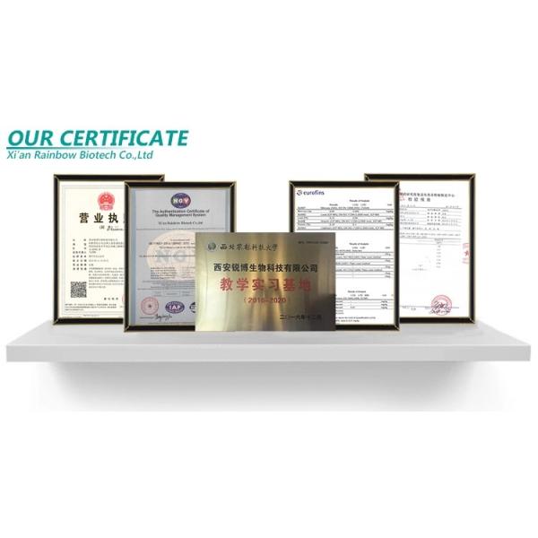 Seed Part Anti Tumor Herbal Apricot Kernel Extract