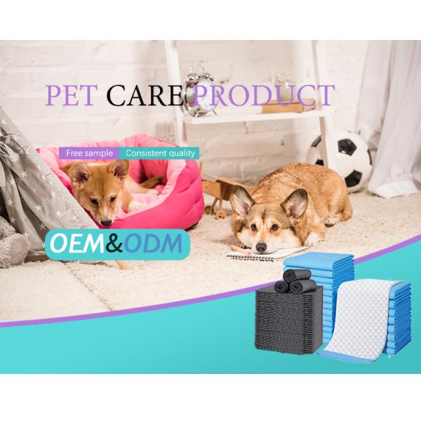CE ISO Certified Disposable Dog Pads with Fast Absorption Capacity of 100-2000ml