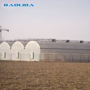 Prefabricated Tunnel Plastic Film Multispan Greenhouse Plastic Film Greenhouse
