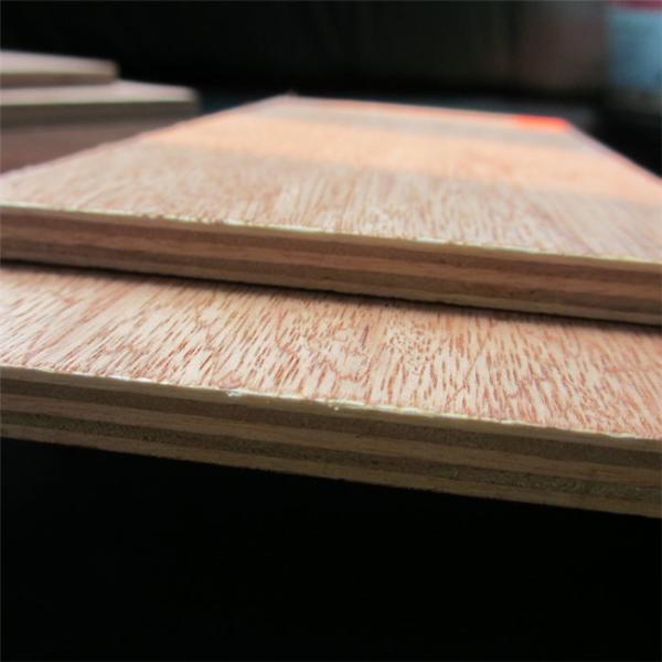 Furniture Moisture Proof 18mm 12mm Bintangor Plywood
