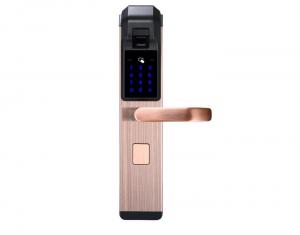 China Competitive Price Zinc Alloy Fingerprint Door Lock With M1 Card For House Apartment on sale