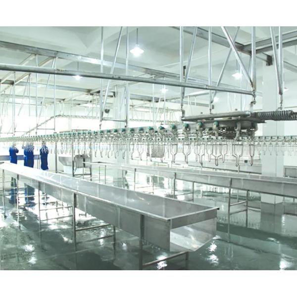 Chicken Duck Goose Poultry Slaughtering Line High Efficiency Stainless Steel 304