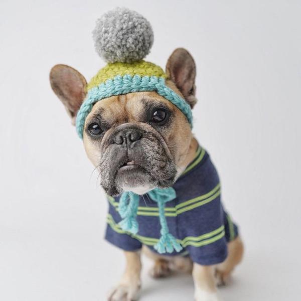 Y-Z Dog Clothing Accessories Handmade Dog Beanie with Pom Pom Crochet Knit Dog Hat Gift