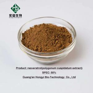 Cheap Herbal Extract Powder Bulk Resveratrol Powder Purity 10%-98% wholesale