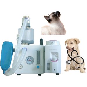 Cheap DM6D Veterinary Anesthesia Ventilator Small Animal Anesthesia System wholesale