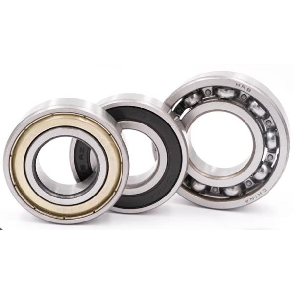 Silver Concrete Pump PTO PTO Bearings Spare Parts 1028 6313 6316