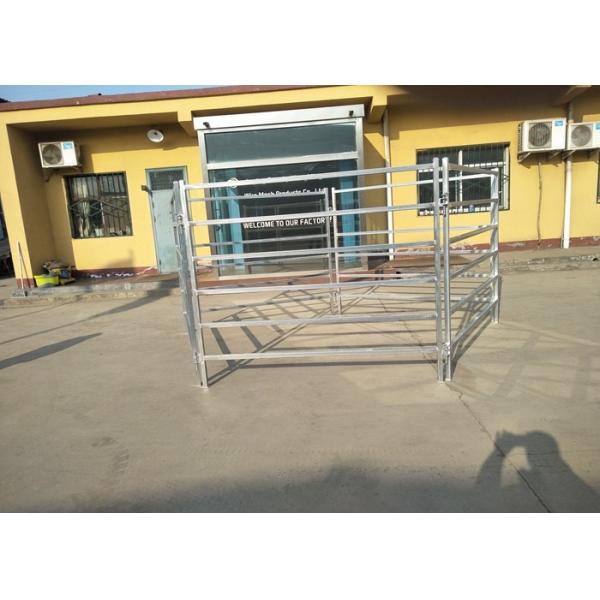 Australia Standard Steel Cattle Fence , Galvanized Horse Fence Panels With 5 / 6 Rail