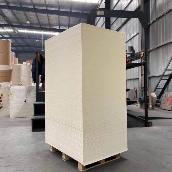 Raw Materials Single Double Sided Offset Paper PE Coated Paper Sheet for Disposable Paper Cup Container Printing