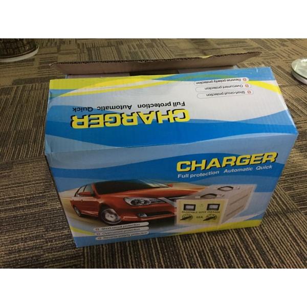 AC 110V 220V DC 12V 100Ah 24V AGM Battery Charger Lead Acid 50A 36V 48V Battery Charger