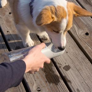 Cheap  				Eco-Friendly Pet Water Dispenser for Walking Dog Pet Travel Bottle 	         wholesale