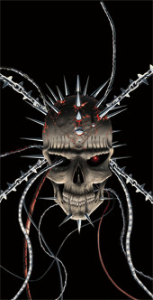 PLASTIC LENTICULAR 3d lenticular zoom effect design from left to right or from up to down with 3 images 4 images