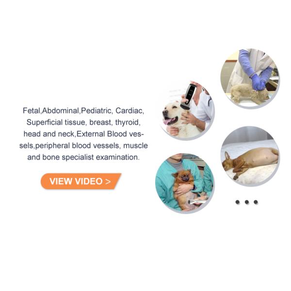Yonker Pocket Veterinary Ultrasound Scanner Portable Handheld WiFi Color Wireless Ultrasound Probe Vet for Animal Cat Pet Dog