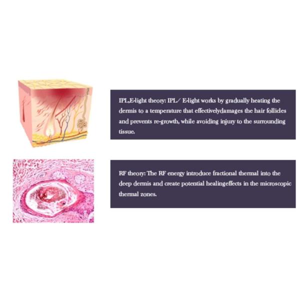 Vertical Laser Beauty Machine 5 In 1 Slimming Machine High Efficiency For Salon