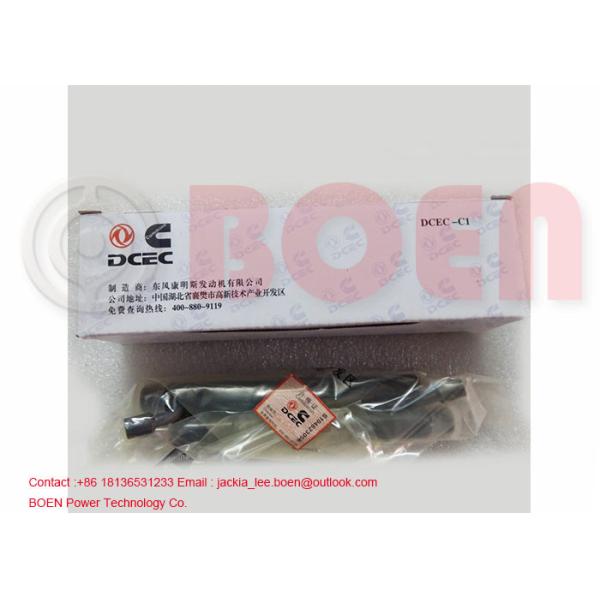 Cummins B5.9 engine marine diesel engine fuel injector 4025334 4063321 4063212