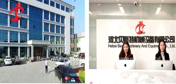 Full Automatic Layer Chicken Cage Commercial Chicken Battery Cage System CE Adela